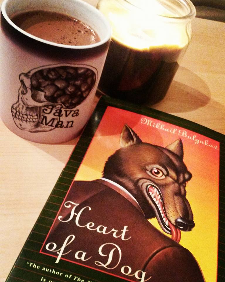 13925146_10154469173913885_5015694443634096964_n