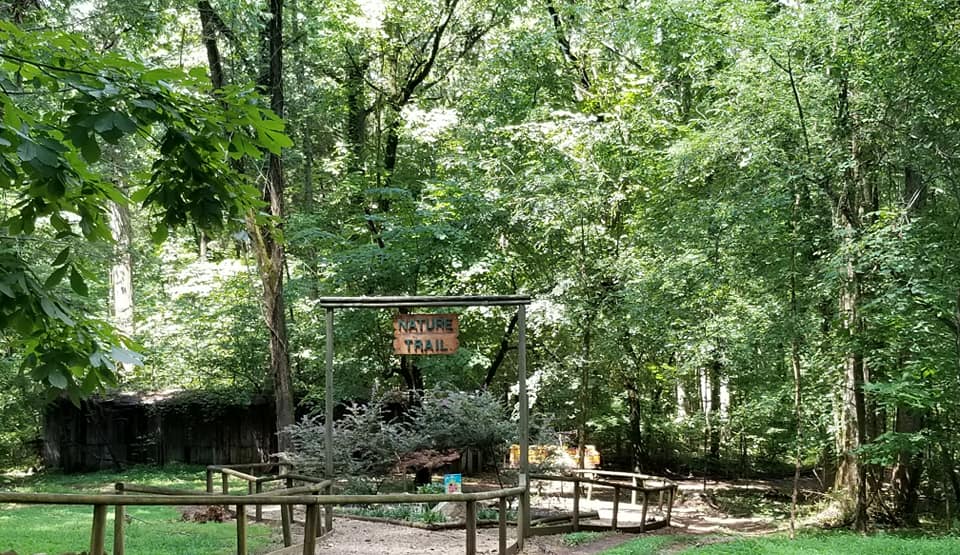 39001869_10156716031858885_1508502001661509632_n