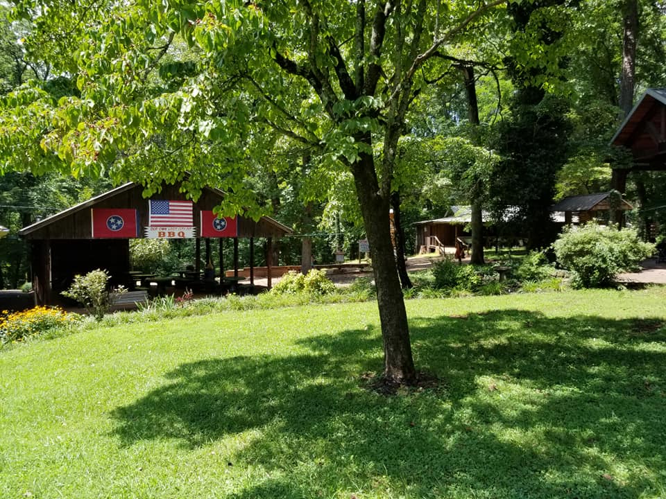 39100395_10156716030643885_7160551467093327872_n