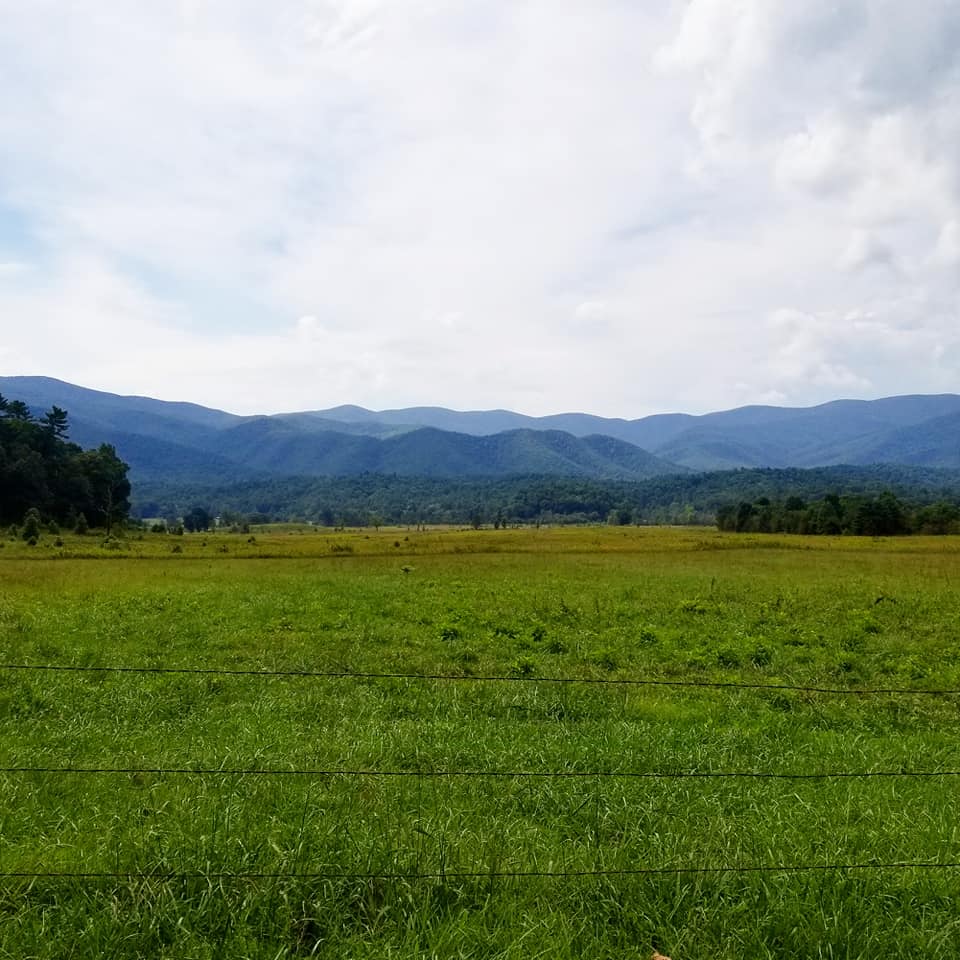 41445130_10156788404378885_7785414739886080000_n