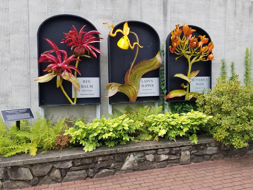 69311522_10157701047318885_9004958823705739264_n