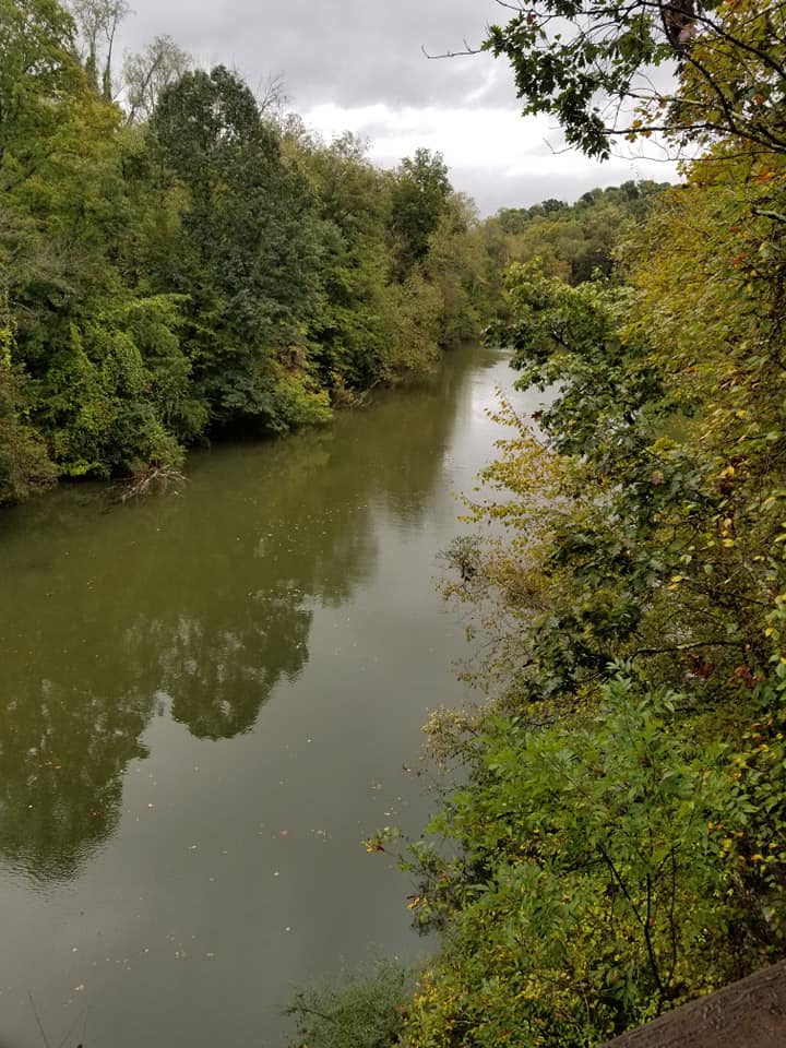 45600065_10156948119773885_4520799820339740672_n