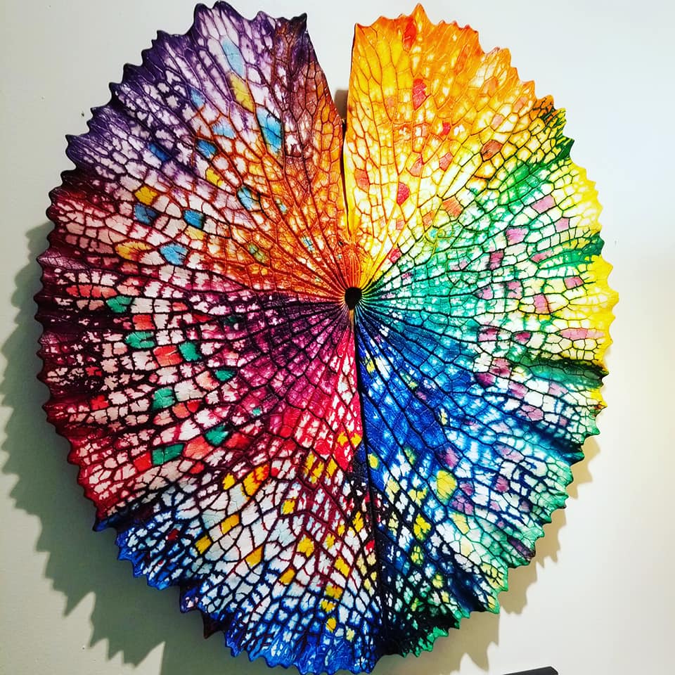 66463370_10157578499883885_8341459347968098304_n