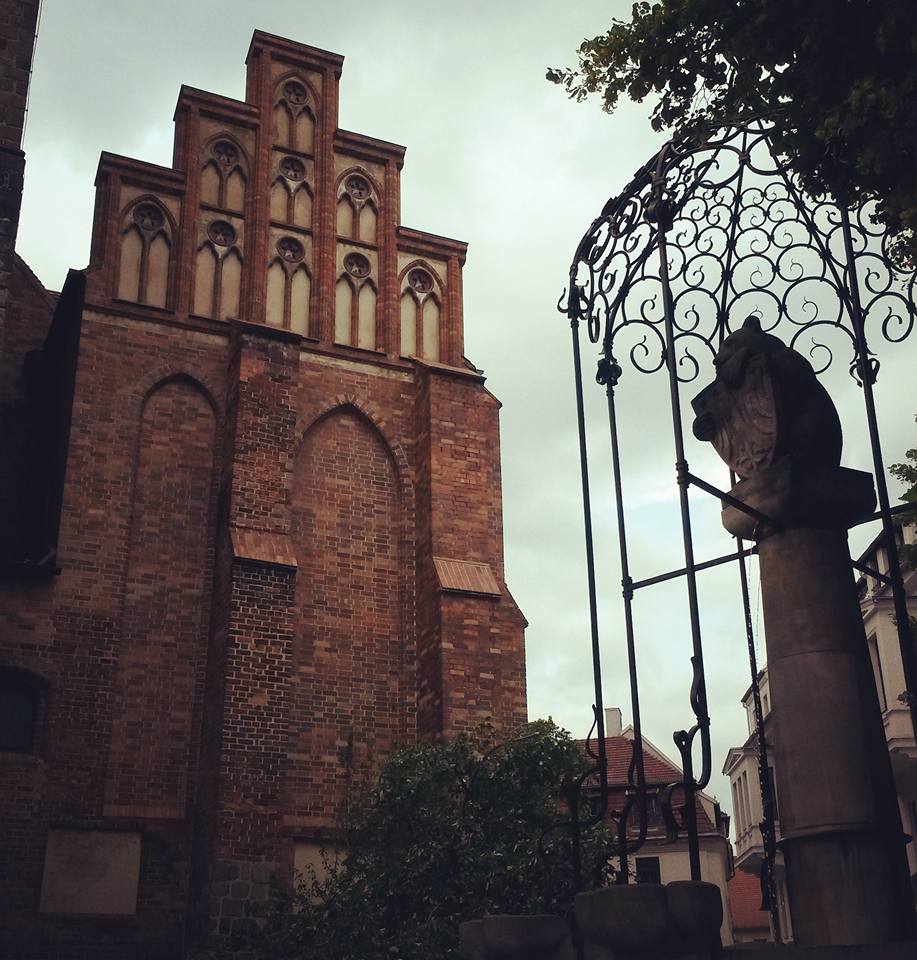 13434811_10154313382263885_4289885871711541458_n