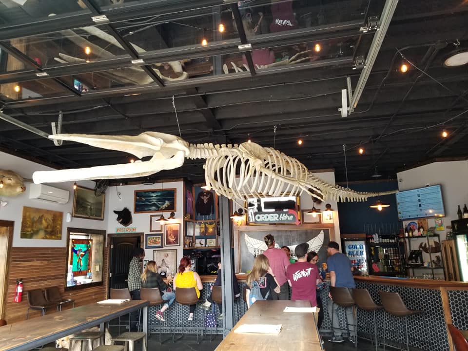 58701376_10157376688448885_505596880000909312_n