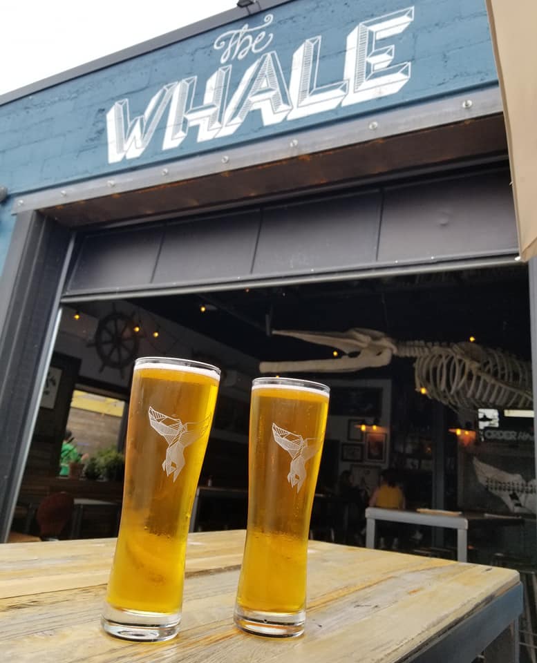 59295918_10157380852333885_1524502898027790336_n