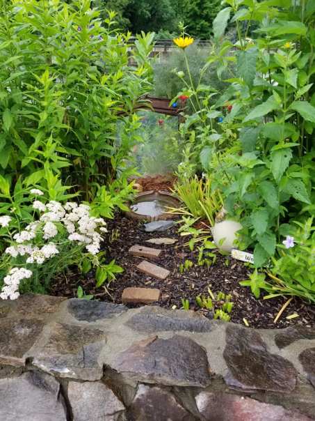 61927817_10157497693253885_7472874346327834624_n