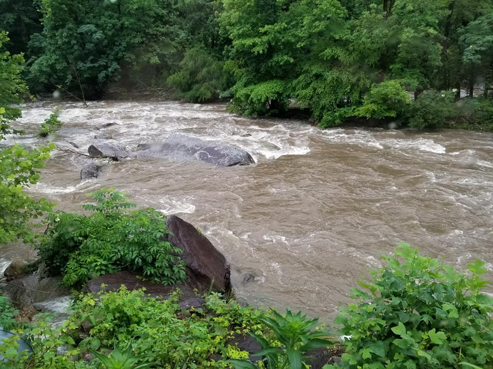 62224988_10157497402173885_7031253761569849344_n