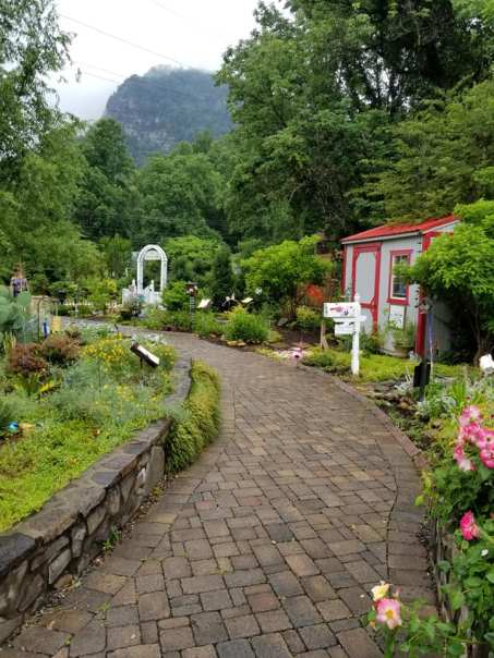 62458760_10157497693323885_7101308882940592128_n