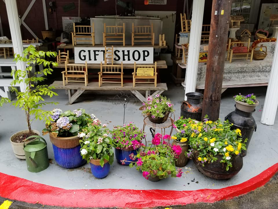 62497217_10157497392973885_3121381608515436544_n