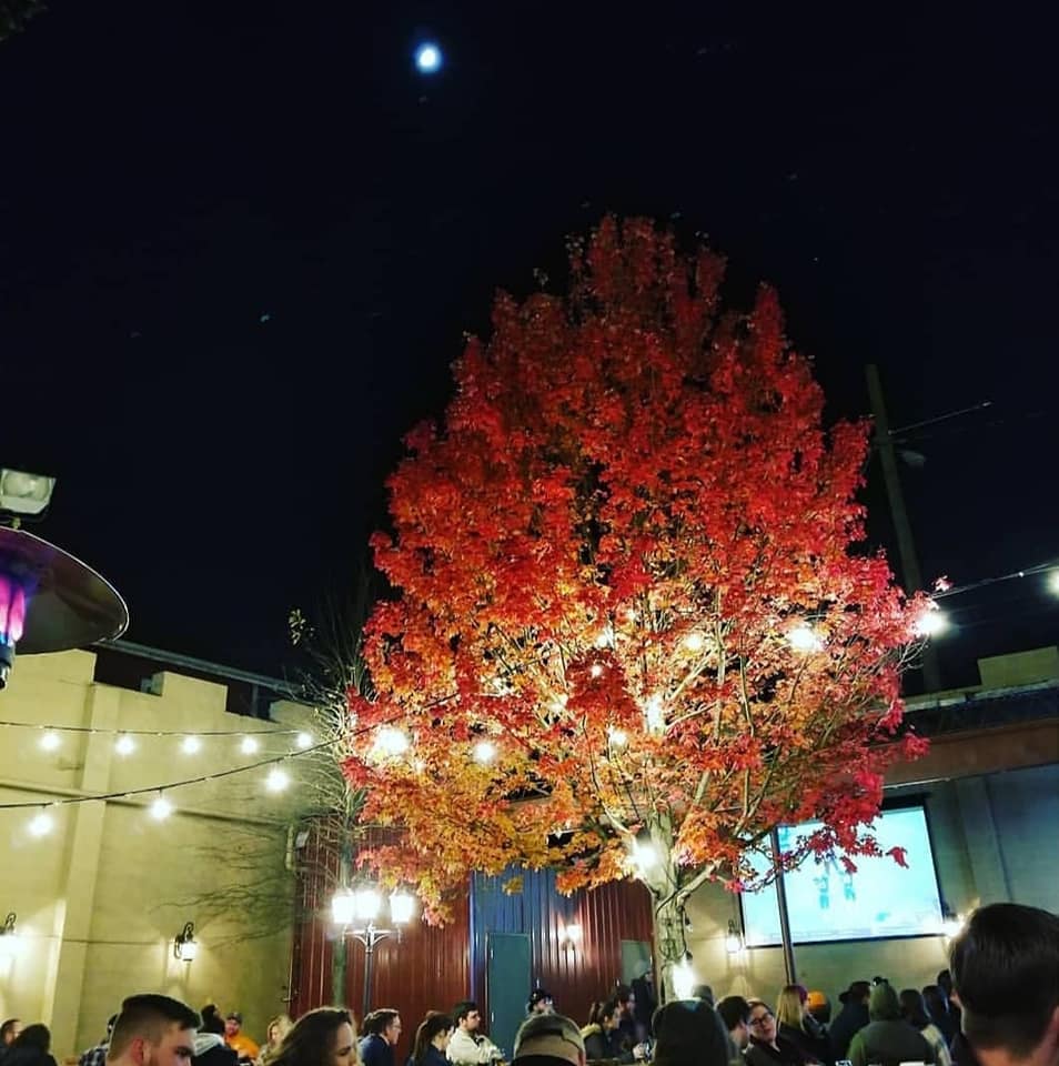 253282365_367350595167720_3922354218452776415_n