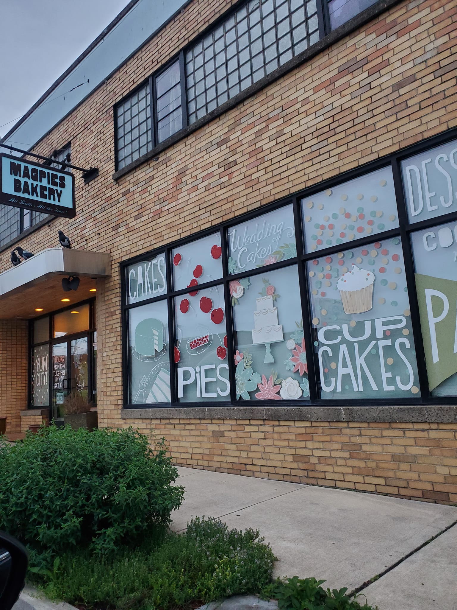 280266033_484196826816429_7775166356362086601_n