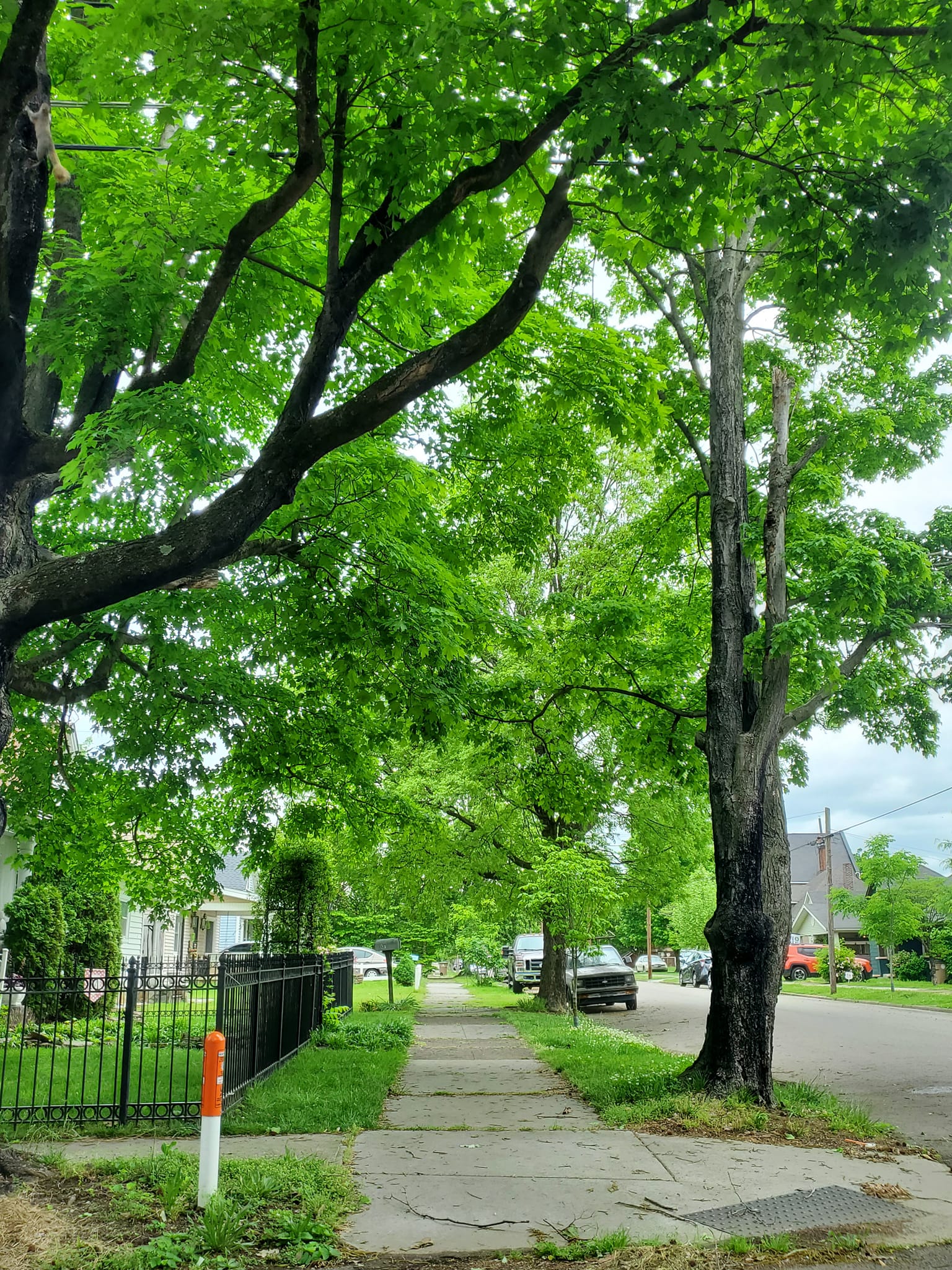 280275928_484196776816434_8013568771585120552_n