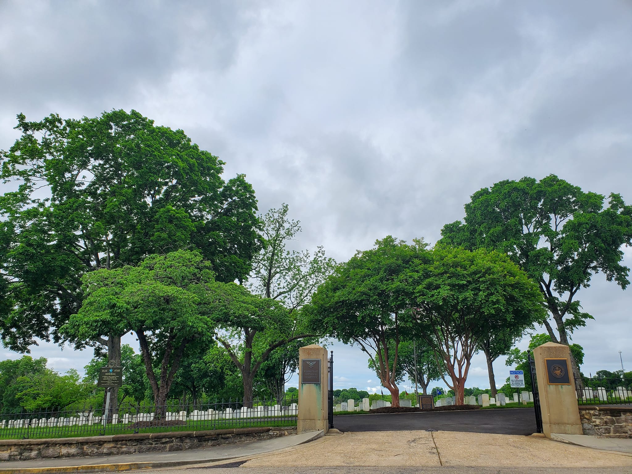 280302475_484193480150097_9071397812556319559_n