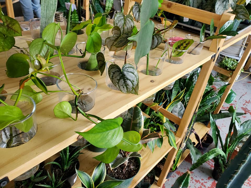 280312731_484194013483377_1562144684156729368_n