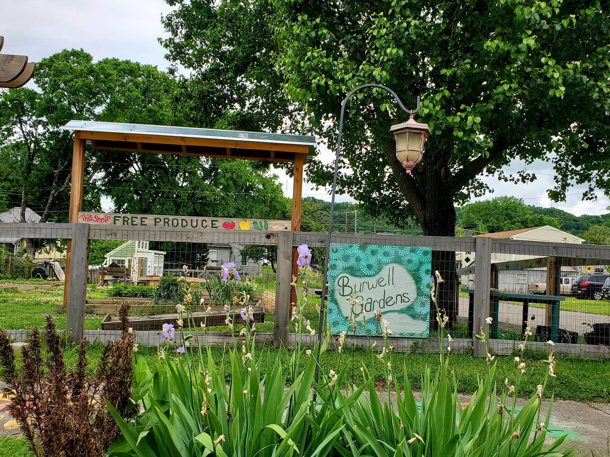 280342677_484208870148558_6182753548795450588_n