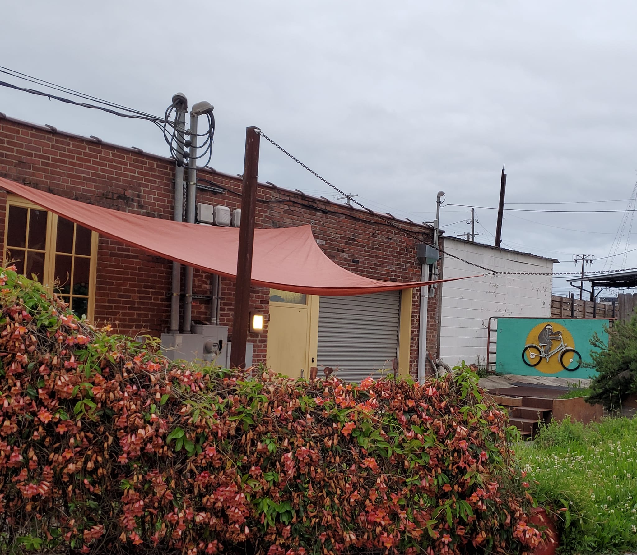 280364931_484191860150259_2270940253584175922_n