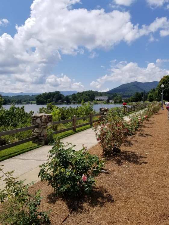 67704100_10157701107648885_1822365185017380864_n