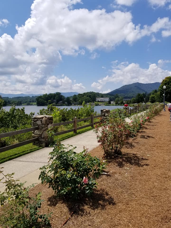 67704100_10157701107648885_1822365185017380864_n