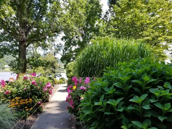 68603117_10157701115143885_2363431549921132544_n