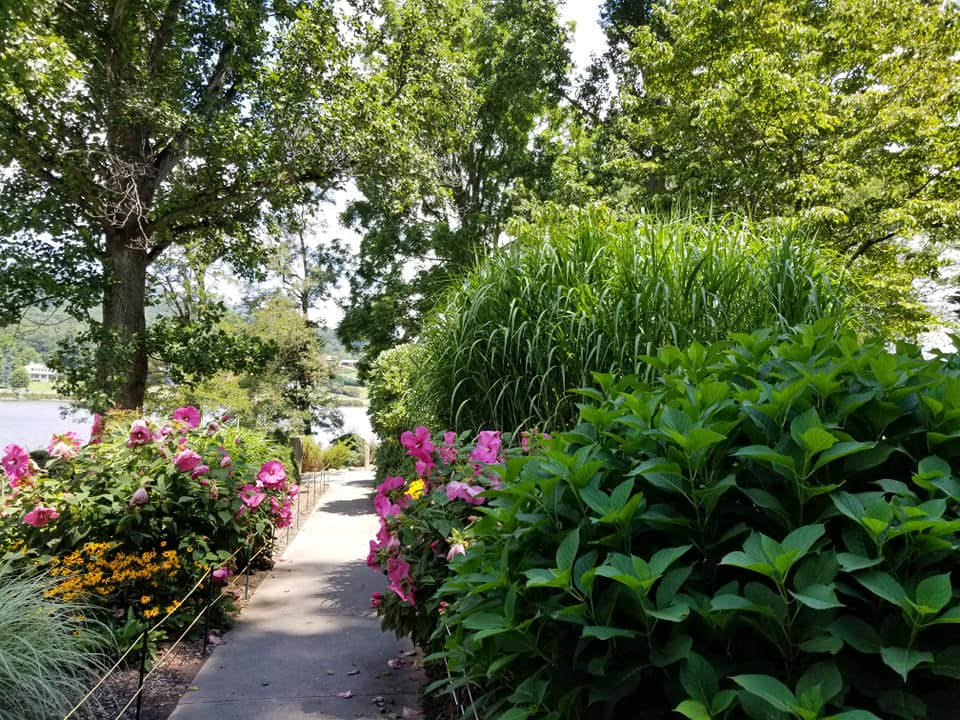 68603117_10157701115143885_2363431549921132544_n