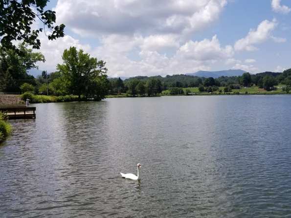 68953258_10157701114638885_7755437753650642944_n