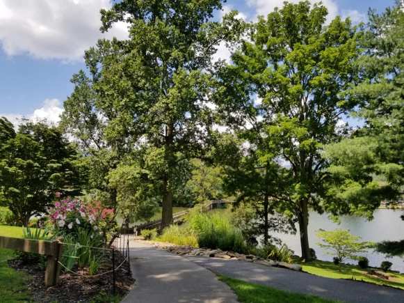 69116161_10157701115273885_1172661187184164864_n