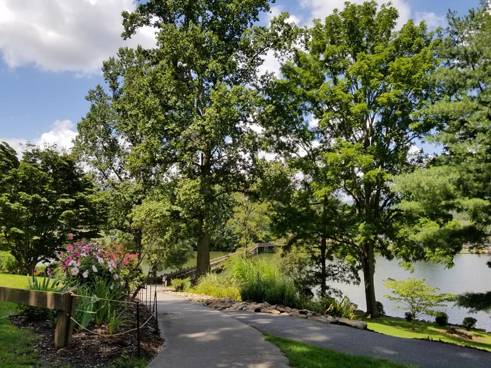 69116161_10157701115273885_1172661187184164864_n