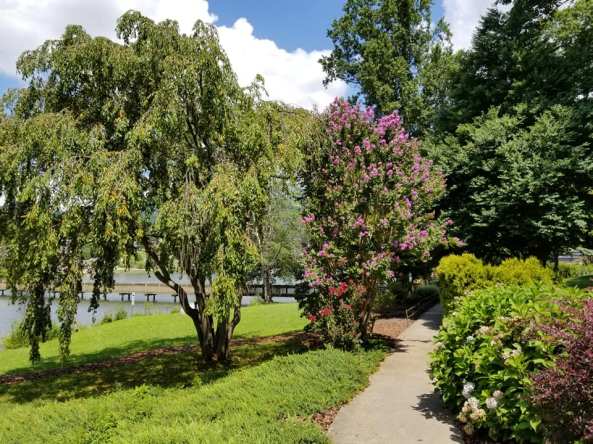 69470656_10157701115073885_4526280653875970048_n