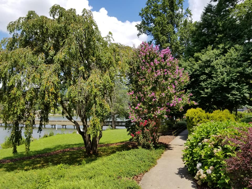 69470656_10157701115073885_4526280653875970048_n