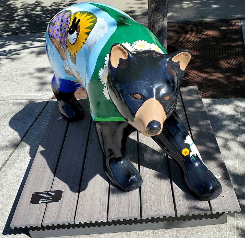 118942933_10158975626878885_1077672591297895723_n