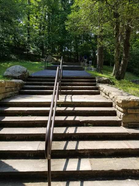 68800270_10157676827188885_962716524261408768_n