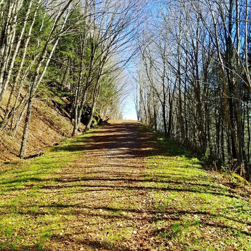 75446666_10157944390738885_2446557472249348096_o