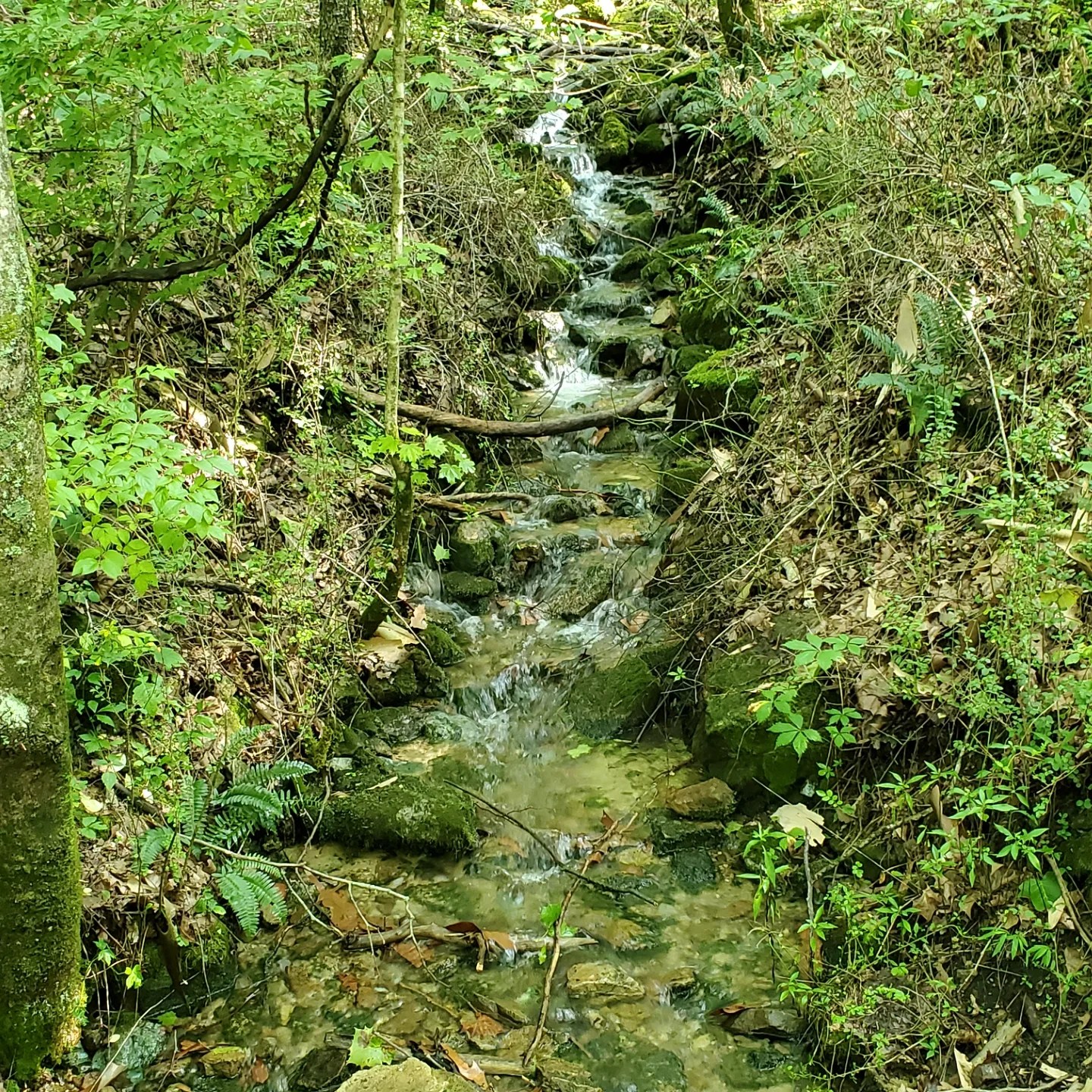 IMG_20240728_073457_380