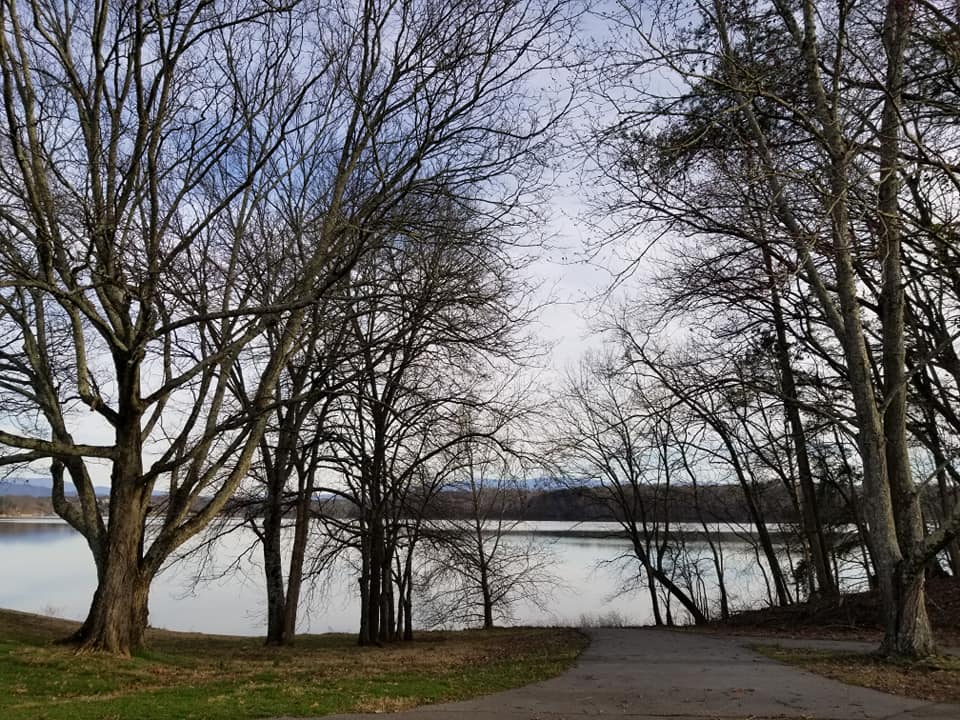 86695527_10158265843838885_2494597909815754752_n