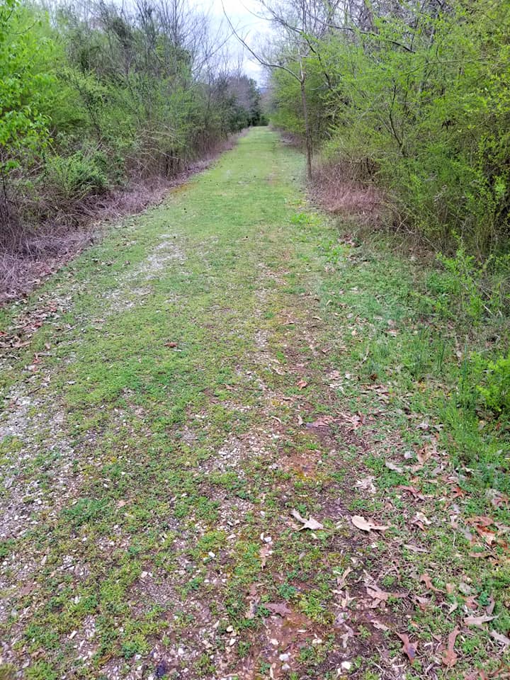 90677536_10158386813663885_3467922230204170240_n