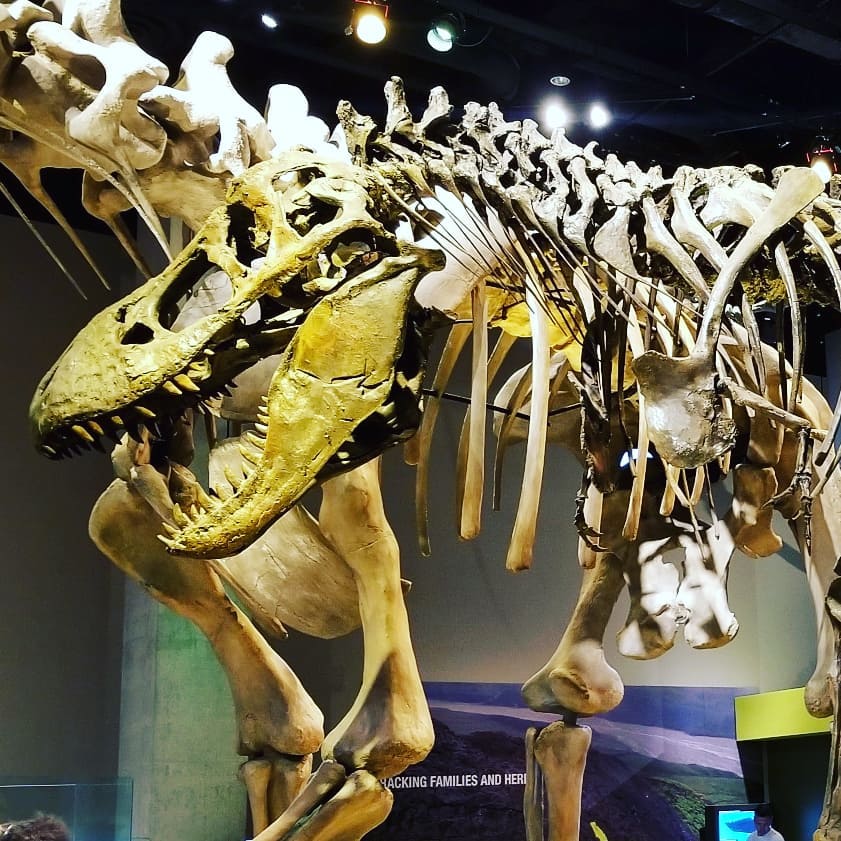 89318799_10158340766408885_2600821410347614208_n