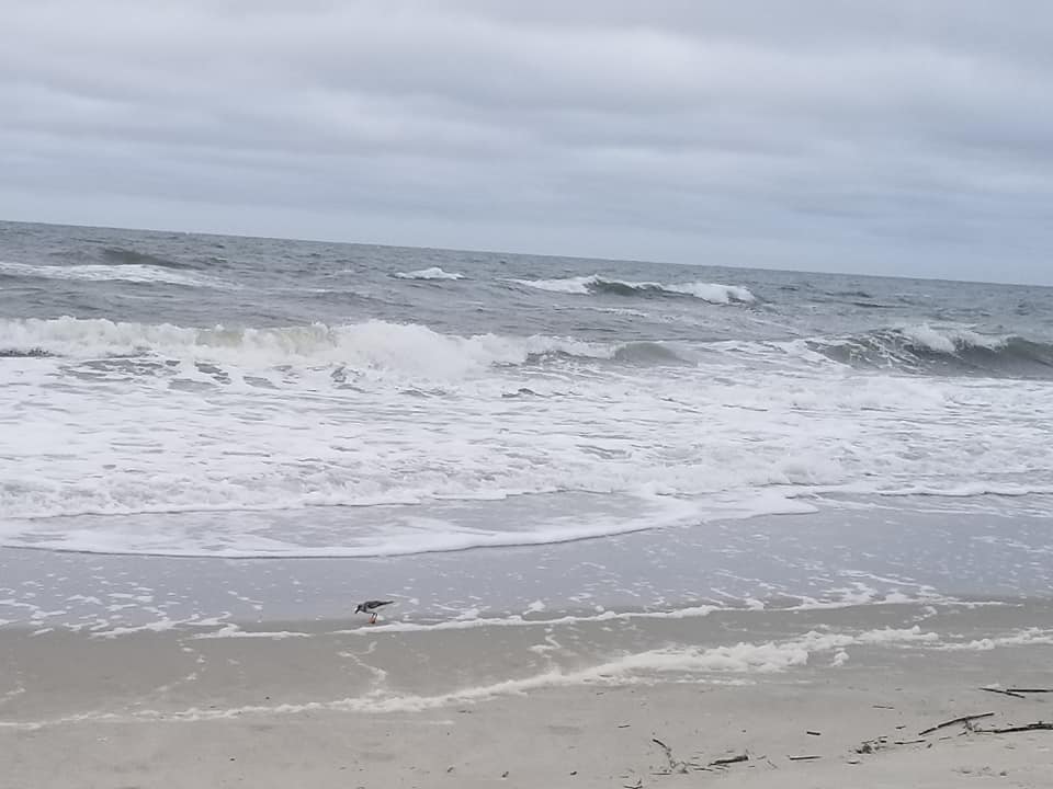 101044625_10158662080278885_6125880178900992000_n