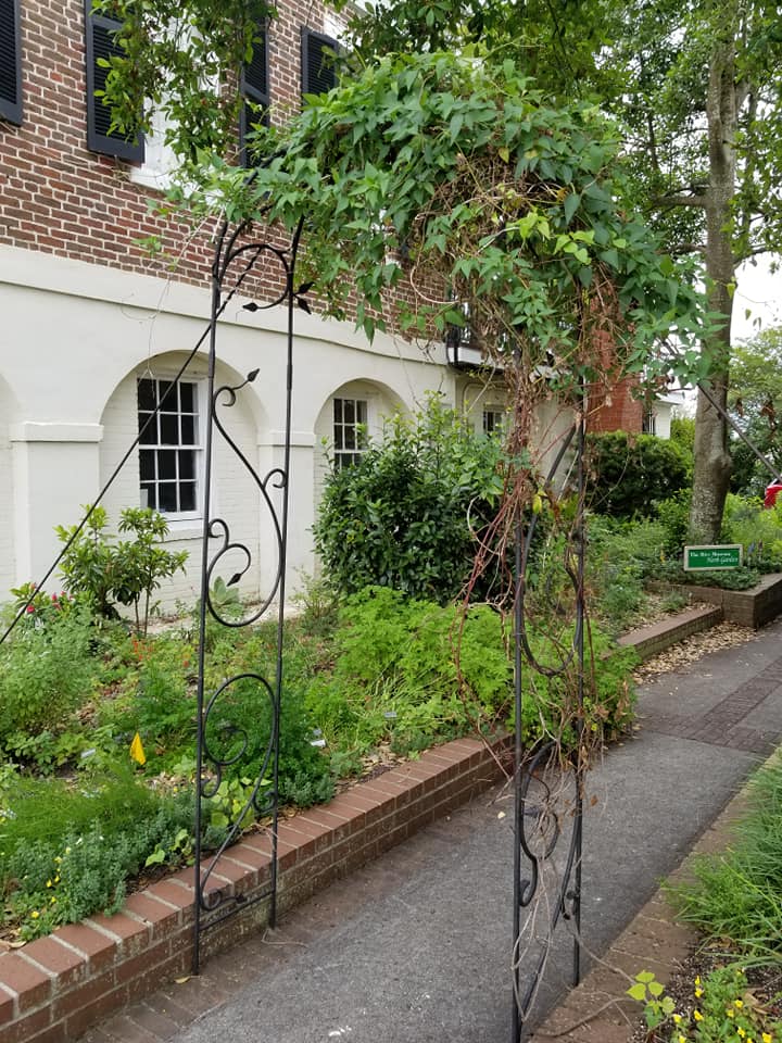 101393951_10158662071563885_8579661829091885056_n