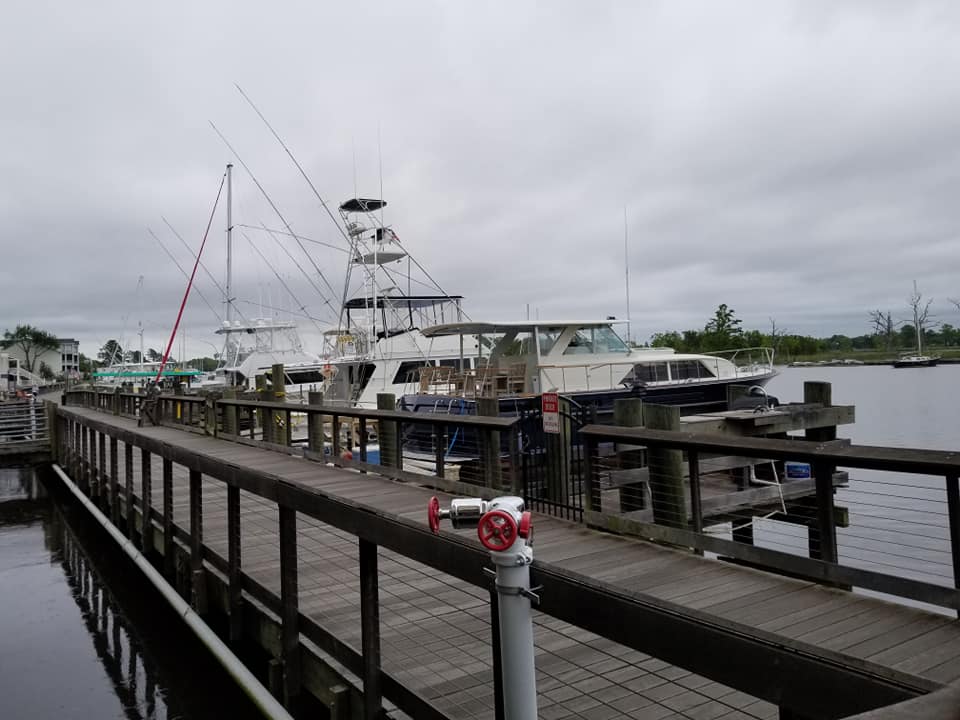 101778223_10158662073013885_421902402786951168_n