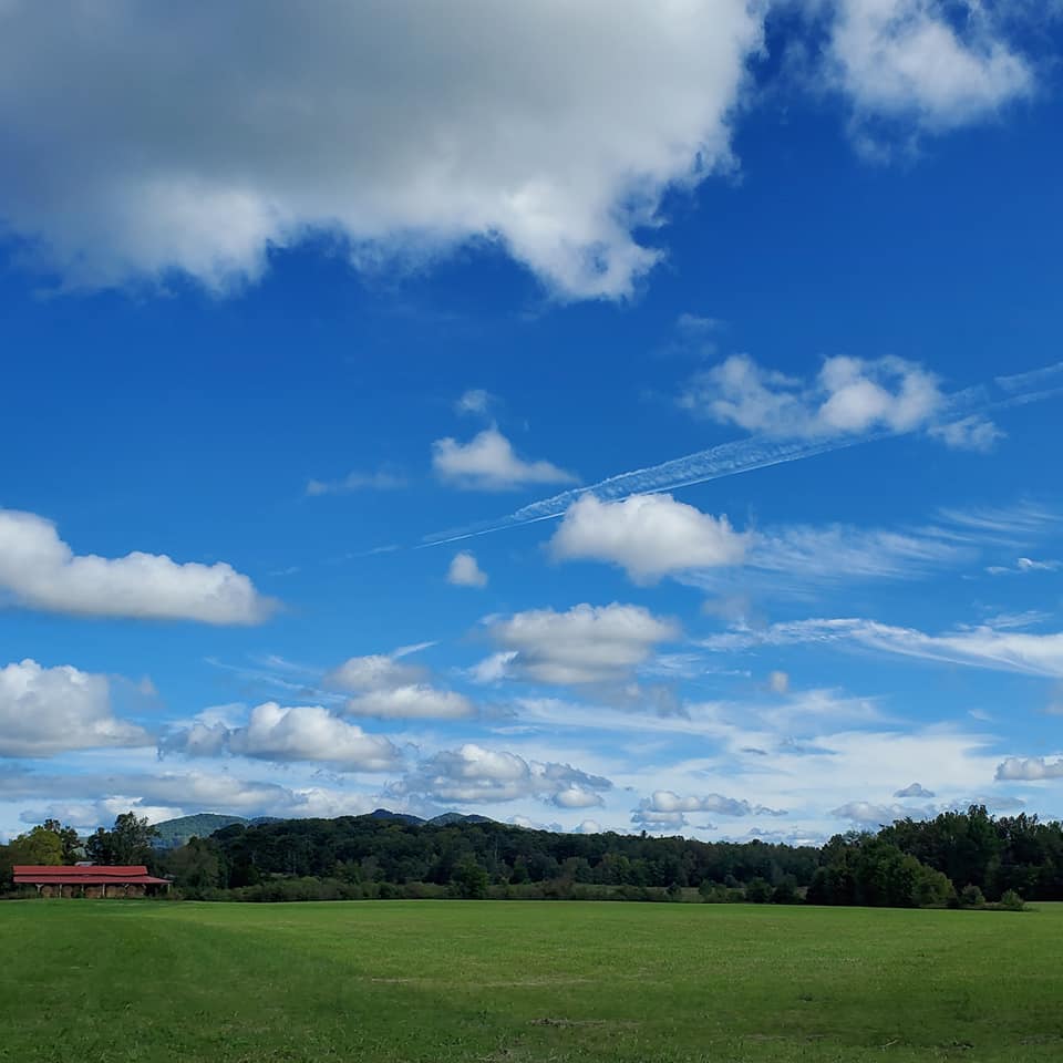 A247486272_359636589272454_7078715625917595157_n