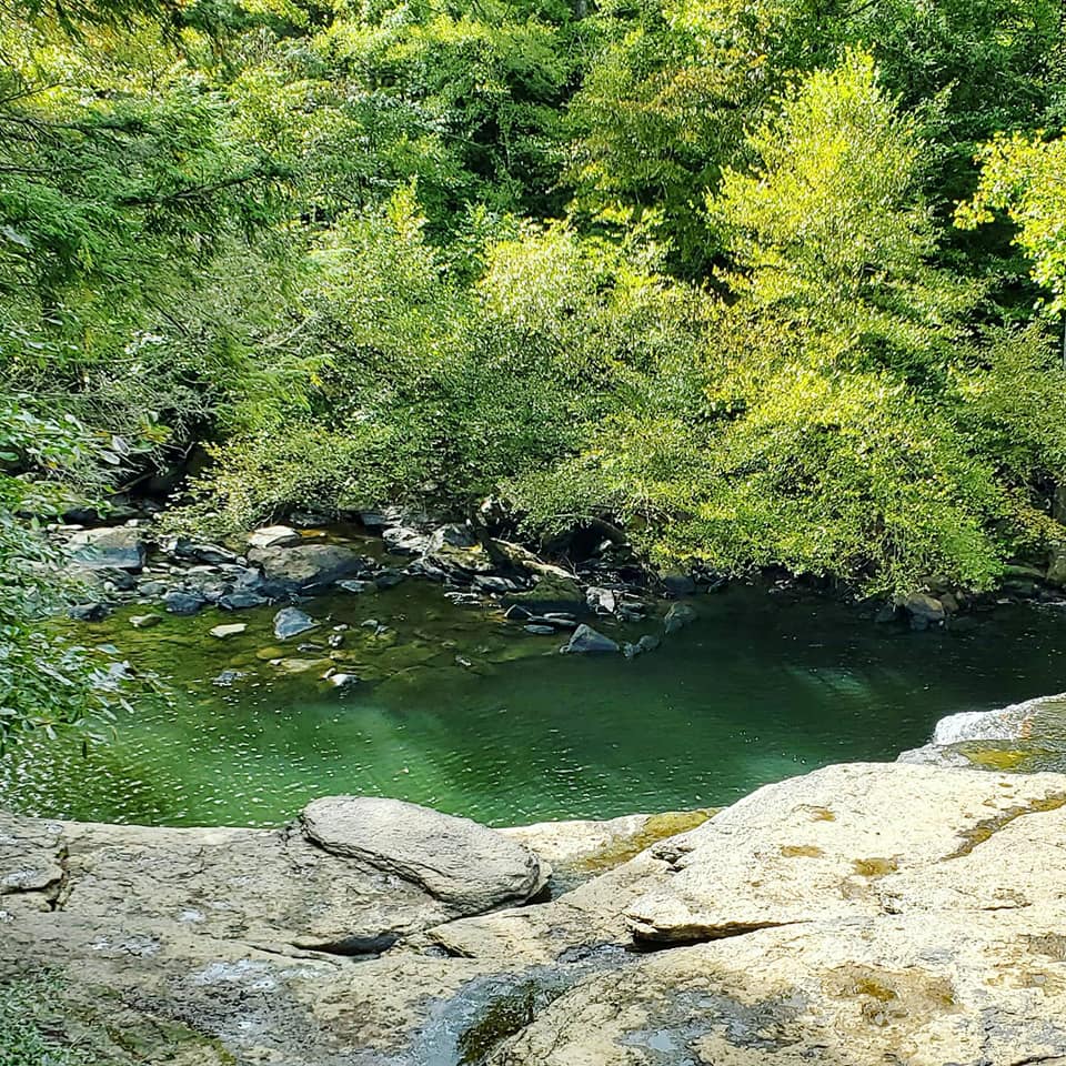 A247971048_359636692605777_4301850153416833387_n