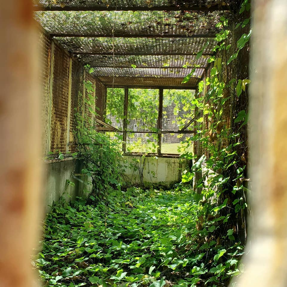 A248030383_359636885939091_368086779801272970_n