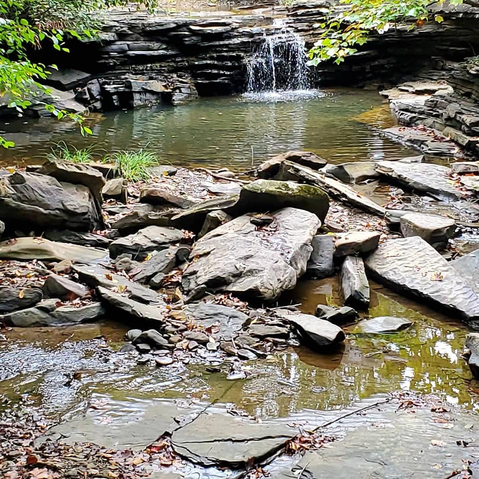 A248496586_359636385939141_53436566519208654_n