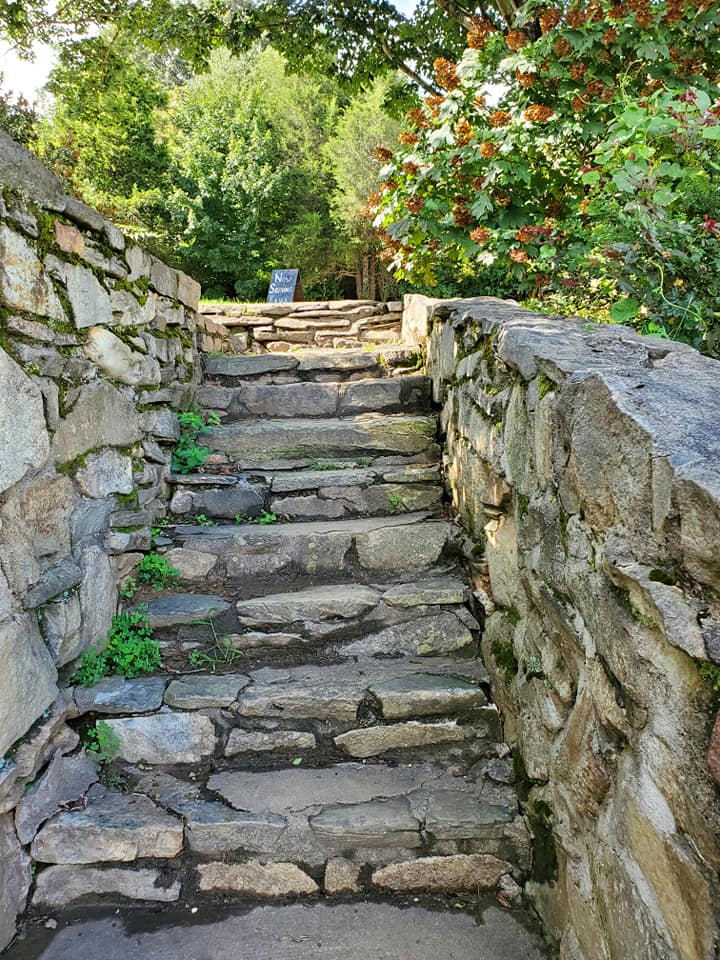 118307881_10158956763243885_3915492891485325169_n