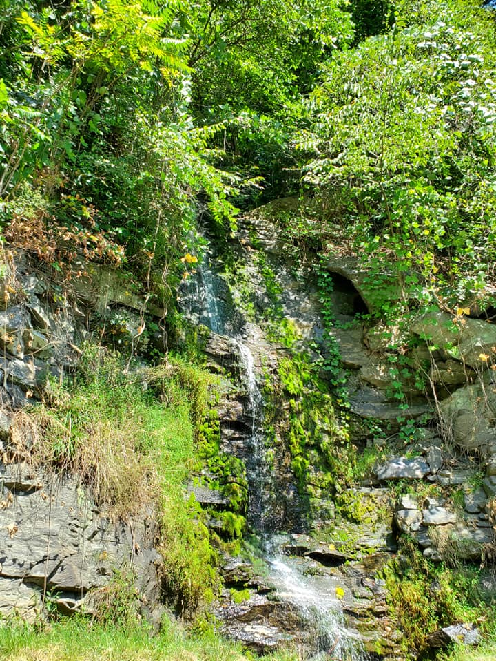 118867404_10158975743248885_6198287065777215292_n