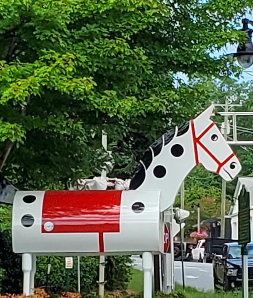 118934771_10158975744883885_6284744972746555855_n