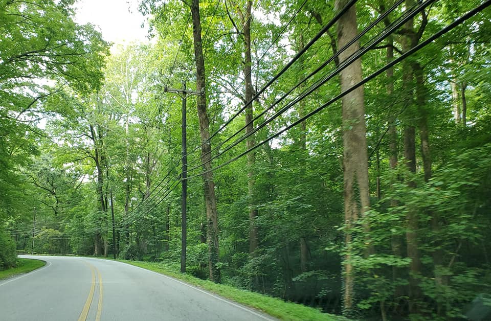 118946716_10158975748293885_3530725288110898730_n