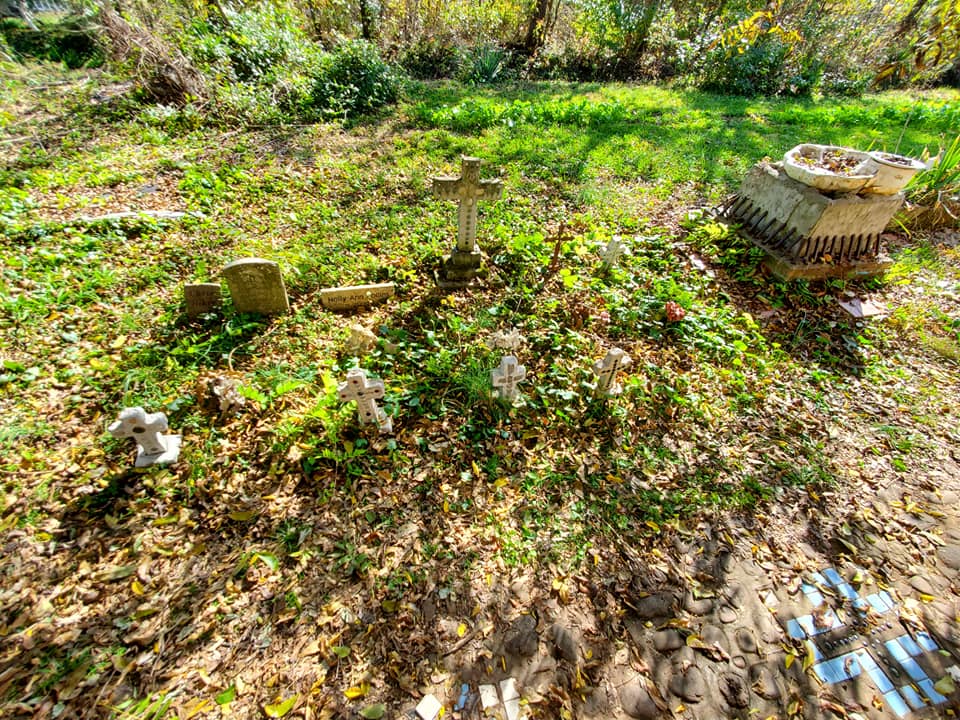 124537011_121190419783740_3669607149827086864_n