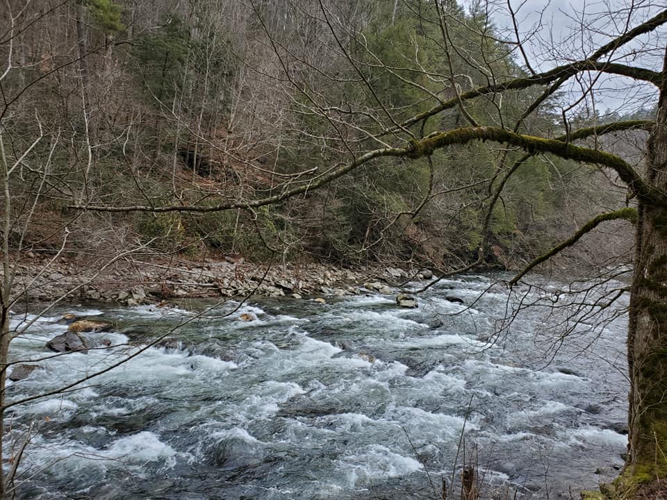 144601825_177300117506103_5750476057916291376_n